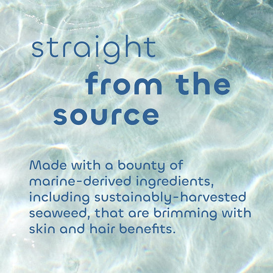 Seaweed Bath Co. Body Wash Eucalyptus Peppermint | Bev Sidders Skincare
